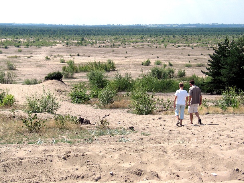 Teren Pustyni Błędowskiej zamknięty dla turystów do końca 2013 r.