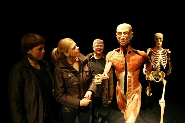 Wystawę BODY WORLDS & The Cycle of Life autorstwa dr. Gunthera von Hagensa będzie można oglądać w centrum Magnolia Park.