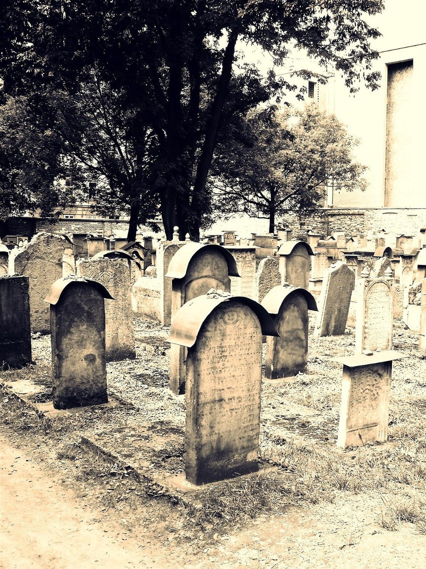 Cmentarz Remuh moim okiem lipiec 2009