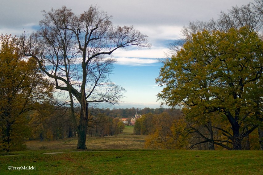 Jesień w Parku Mużakowskim