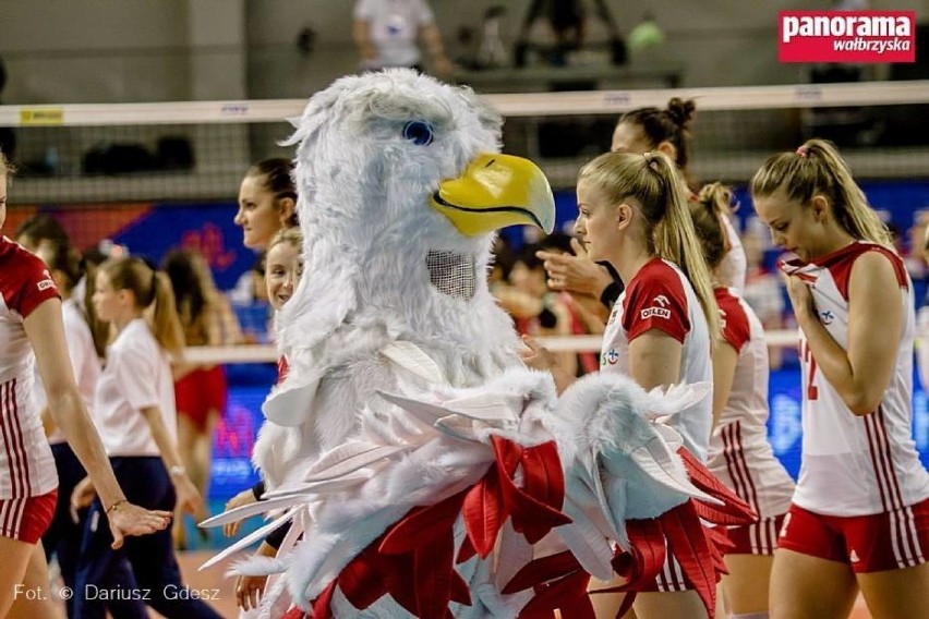 Reprezentacja Polski zagra z Czechami w wałbrzyskim Aqua Zdroju