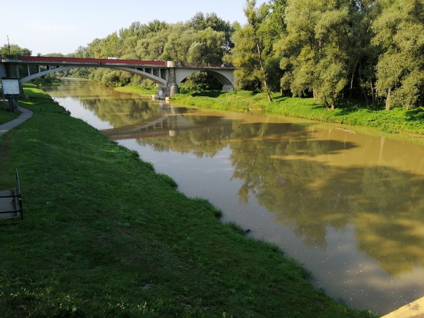 Soła w Oświęcimiu, 28 sierpnia 2019 r.