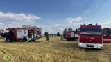 Szybka akcja strażaków. Niebezpieczny pożar balotów i ścierniska między Michorzewkiem a Kuślinem