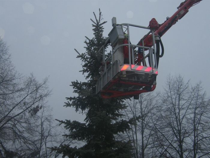 Zobacz, jak strażacy ubierali świąteczne drzewko