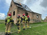 Tak ćwiczą lubuscy strażacy! Dzięki temu mogą skutecznie działać w razie zagrożenia