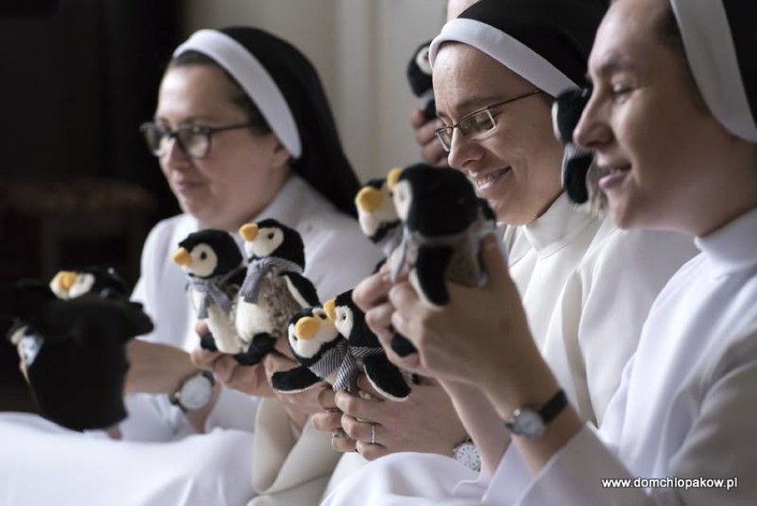 25 kwietnia przypada Światowy Dzień Pingwina. Dominikanki z Broniszewic świętują. 5 lat temu o budowie Domu Chłopaków usłyszał cały kraj 