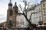 Krakowskie przesądy. Oto najpopularniejsze zabobony spod Wawelu. Znacie je?