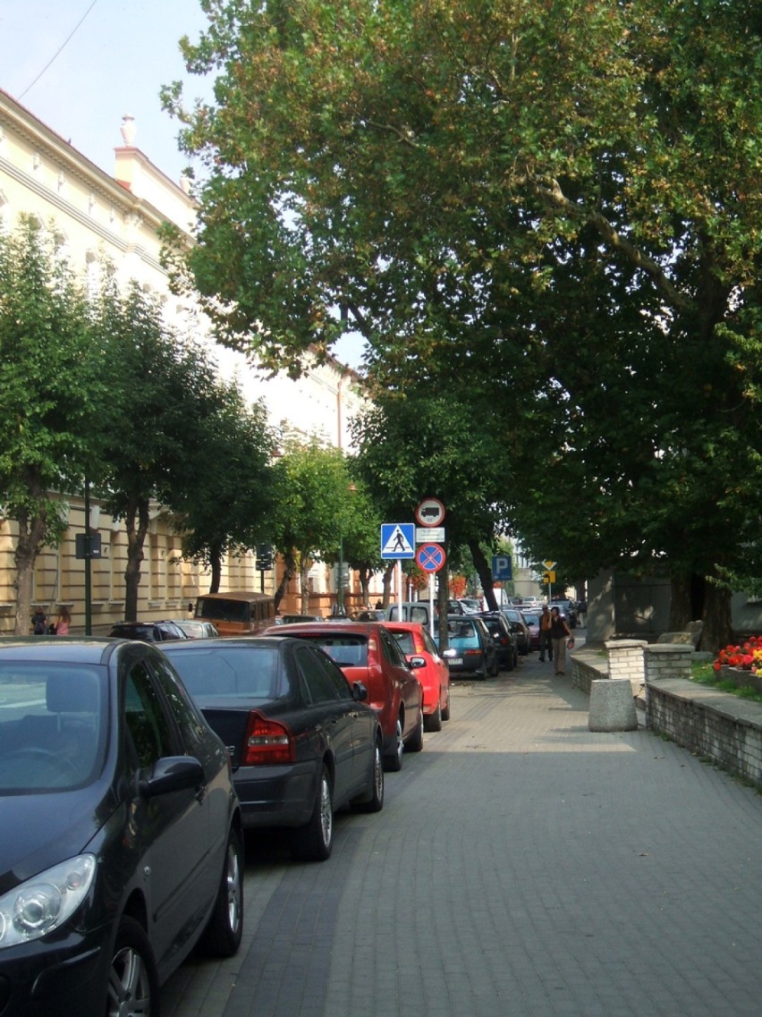 Trwa Dzień bez Samochodu w Rzeszowie