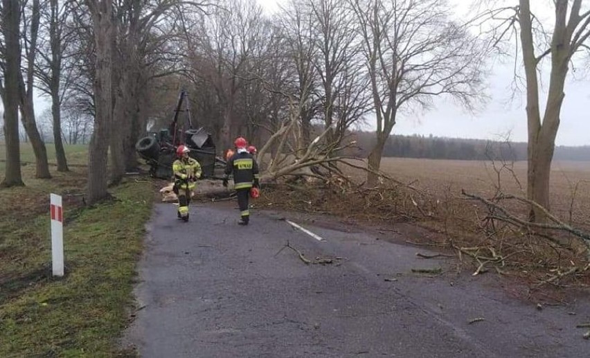 Ciężarówka skosiła drzewo. Strażacy w akcji pod Nowogardem