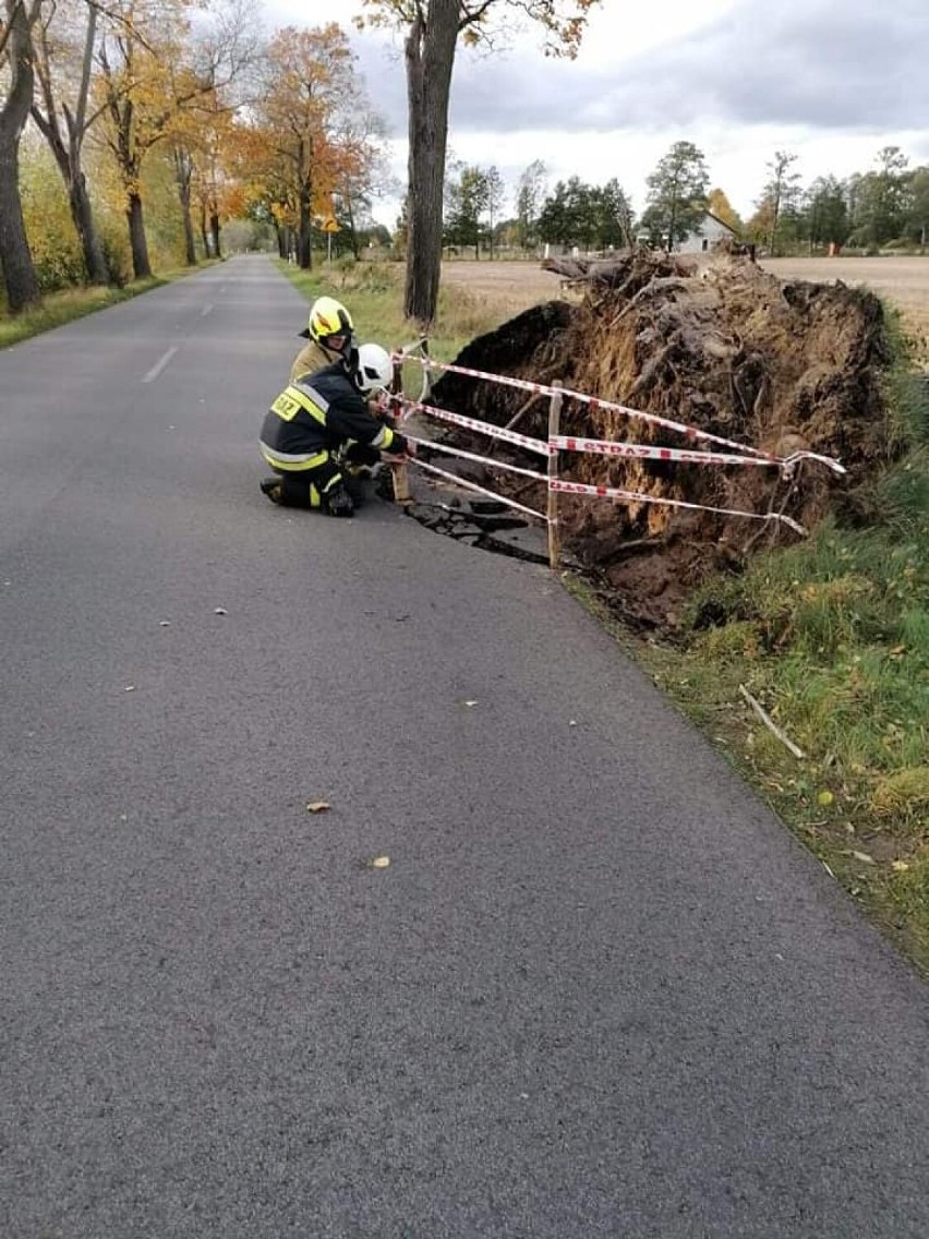 Wichura w powiecie grodziskim. Zerwane dachy powalone drzewa. Kilkadziesiąt interwencji strażaków w powiecie