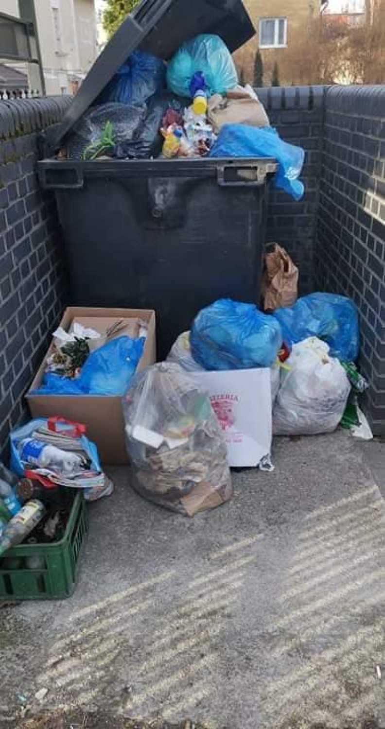 Jelenia Góra walczy ze śmieciami. Zobacz brzydkie nawyki mieszkańców miasta