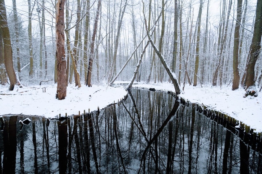 Silne opady śniegu w nocy z czwartku na piątek. Wigilia powita nas śniegiem?