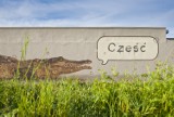 Nowy Sącz. Przy ścieżce rowerowej nad Dunajcem można spotkać aligatora [ZDJĘCIA]