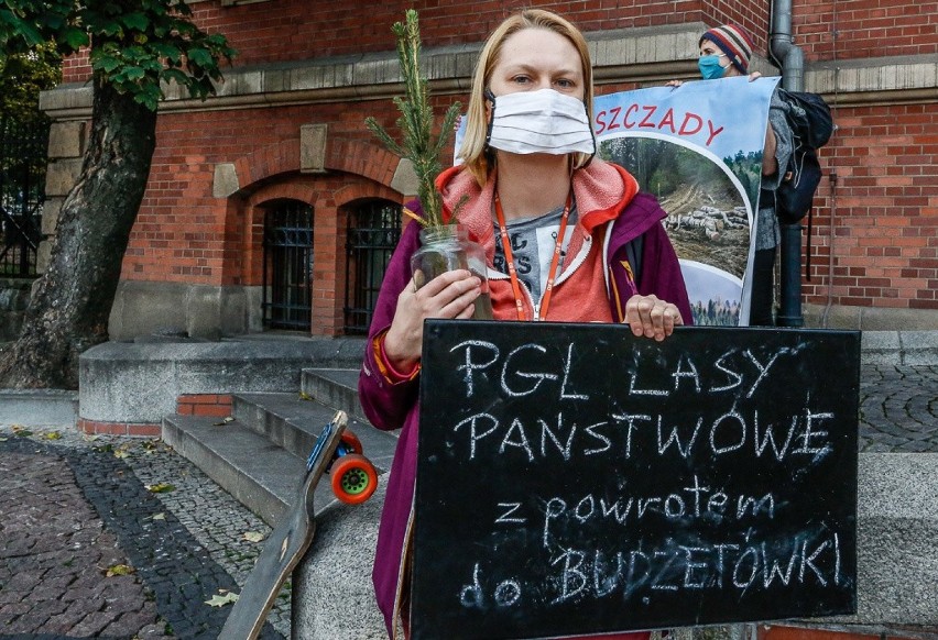 W Gdańsku przeciw wycince w Bieszczadach. Ekolodzy: Chcemy powiedzieć, co się tam dzieje