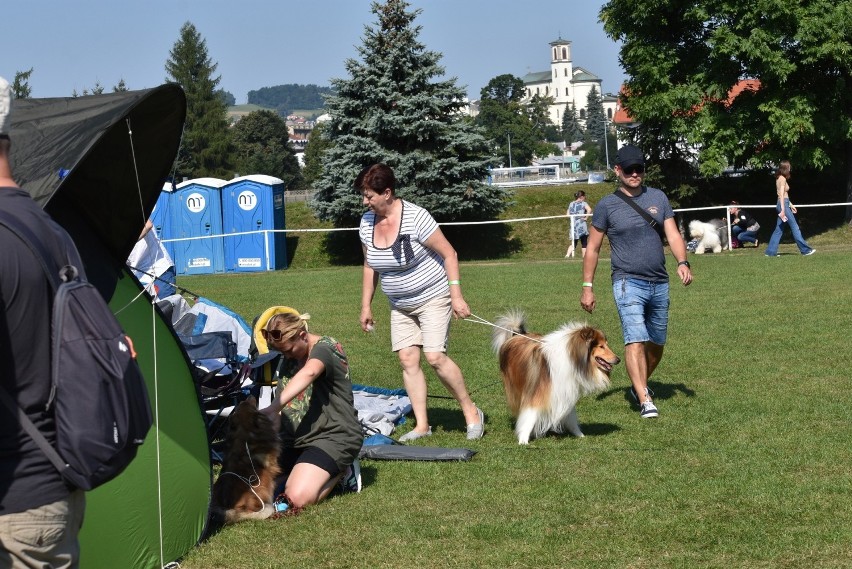 Krajowa Wystawa Psów Rasowych, Gorlice 2021