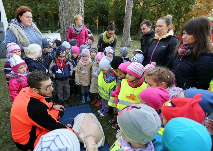 Akcja Eko Przedszkolak w Szczecinie