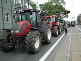 Minister rolnictwa spotka się dziś w Przysieku z protestującymi