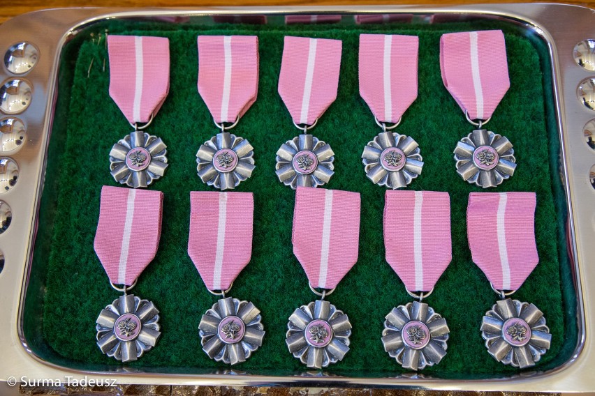 W Urzędzie Stanu Cywilnego w Stargardzie prezydent miasta wręczał medale za długoletnie pożycie małżeńskie. ZDJĘCIA 