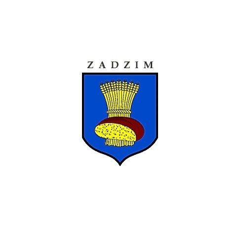 Gmina Zadzim