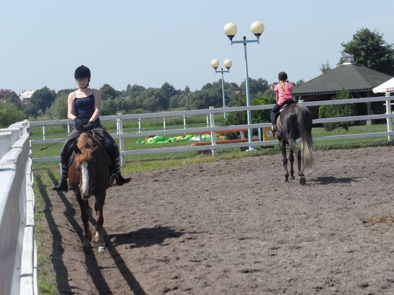 Stadnina koni w Jaworznie [ZDJĘCIA]. Pomysł na dobre wakacje