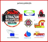 Strażak Roku Wielkopolski 2016. Trwa głosowanie