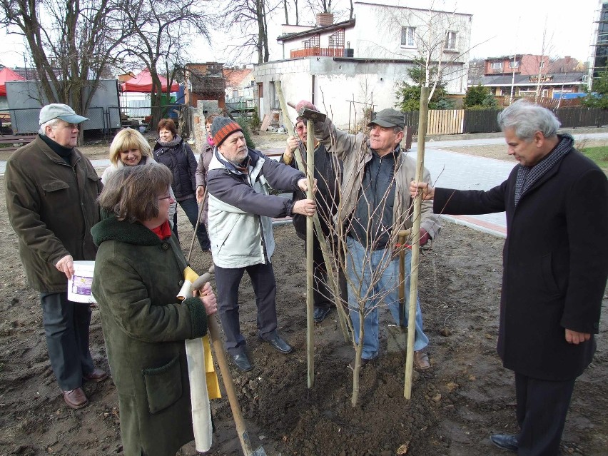 Całą akcję zaplanował już kilka lat temu.
- Drzewka, które...