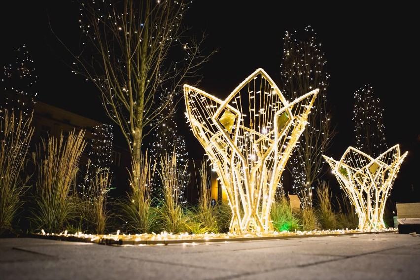 Idą Święta a wraz z nimi kolorowe i cieszące oko iluminacje świetlne, które pojawiły się w Ostrowie Wielkopolskim