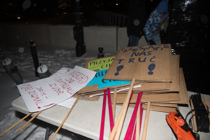 Protest przeciw odstrzałowi dzików pod Sejmem (9/01/2019)