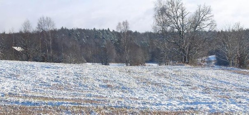 Zima obiektywem naszego Czytelnika Mariana Wnuk-Lipińskiego