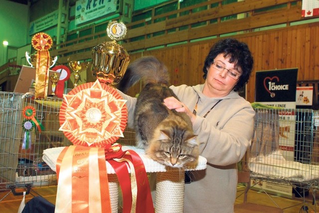 Laureat konkursu The Best of the Best ze swoimi pucharami, kotylionami i właścicielką Ewą Polakowską-Wcisło.