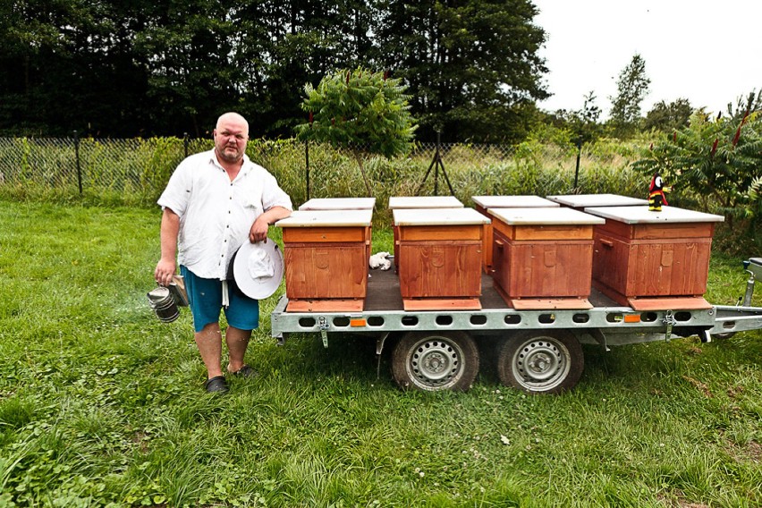 Dzięki zaangażowaniu klientów uratowali już milion pszczół