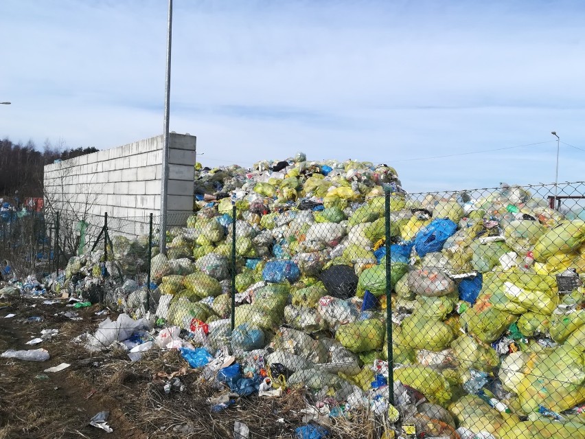 Balin. Pełno śmieci wokół wysypiska w Balinie. Trwa ich sprzątanie