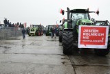 Kilkaset ciągników na trasie między Pawłowicami a Ochabami. Protest rolników na DK 81. Zobaczcie ZDJĘCIA