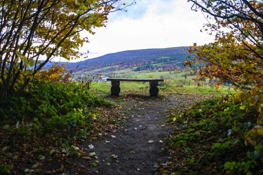 Beskid Niski. Kraina buków przybrała złociste barwy. Jesień ma tutaj wyjątkowy charakter [ZDJĘCIA]