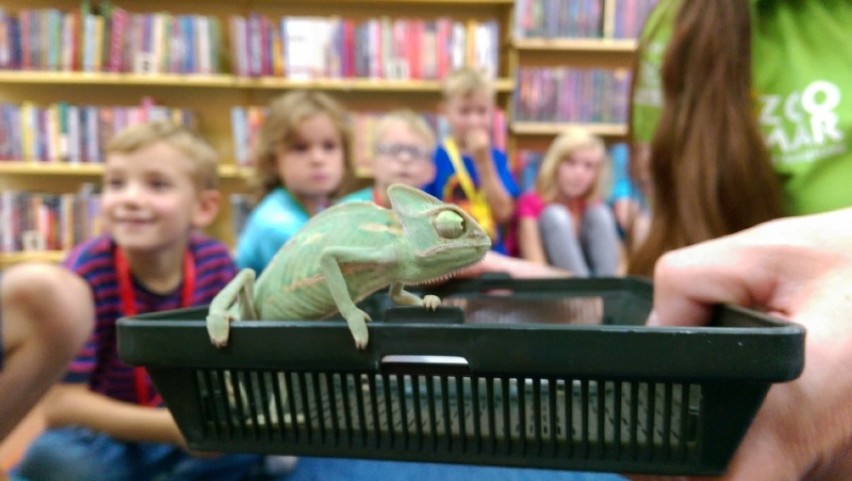 Dzieci poznawały zwierzęta w... bibliotece