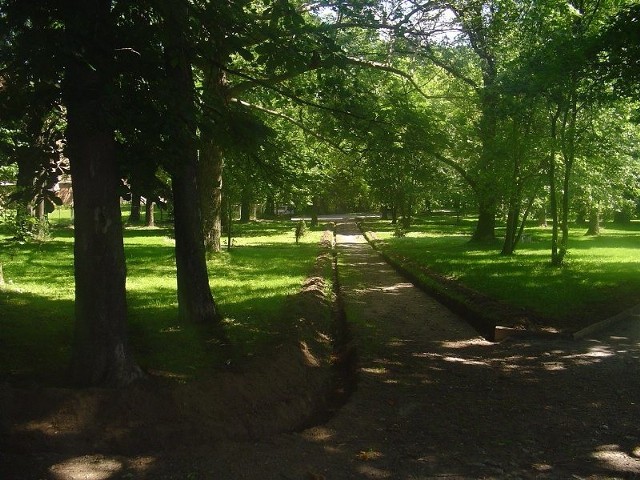 Zdjęcie parku miejskiego w mieście Piława Górna