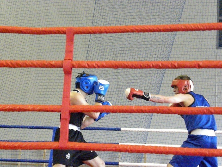 Seniorzy, kategoria 60 kg - Dawid Torzecki (Concordia...