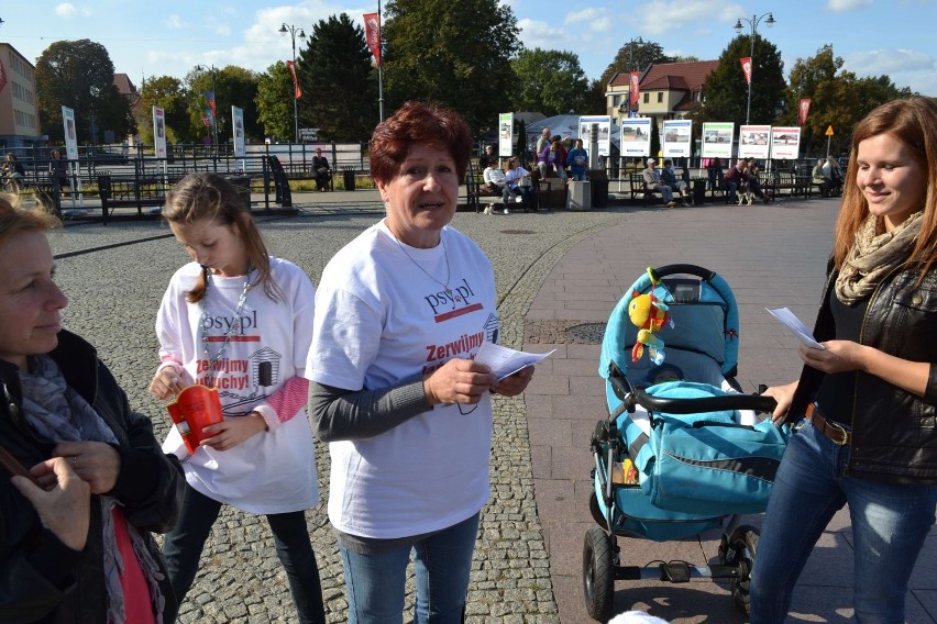 Akcja "Zerwijmy łańcuchy" w Malborku [ZDJĘCIA]. Chętni przywiązywali się do budy