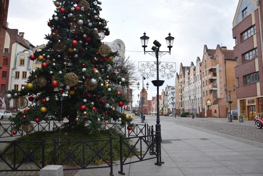 Świąteczne Spotkania Elblążan w tym roku odwołane, ale miasto przygotowuje się na święta. Trwa ustawianie choinek i montaż ozdób
