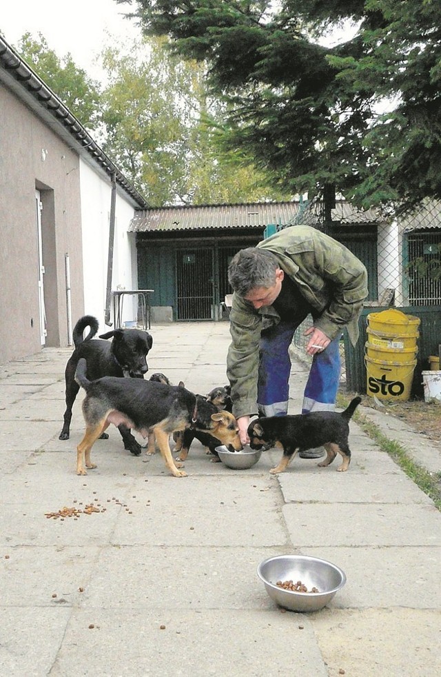 Na "Psiejskich zakupach" zebrano ponad 400 kg karmy