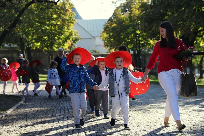 Happening "Zatrzymać lat. Grzybobranie 2019" w Piotrkowie....