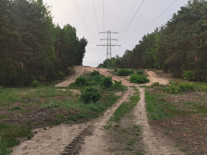 Niewybuch przy jeziorze Wikaryjskim we Włocławku