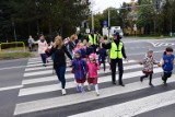 Akcja "Pomachaj Kierowcy" w Śremie. Kolejne grupy przedszkolaków poznały zasady bezpieczeństwa na przejściach dla pieszych [zdjęcia]