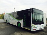 Autobus energetyczny przyjedzie do Elbląga