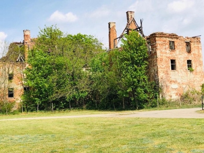 Daszów. Barokowy pałac w Daszowie stał się ruiną. Jego los jest już przesądzony [ZDJĘCIA]