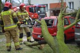 W Głogowie drzewo spadło na samochód i je zniszczyło. Zdjęcia