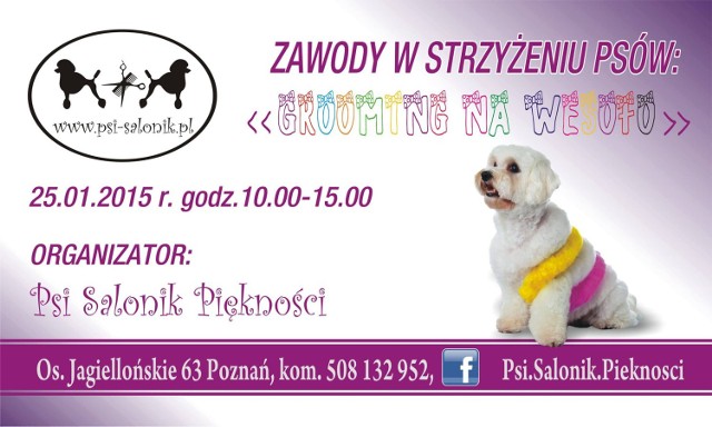 Zawody w strzyżeniu psów w Poznaniu. To pierwszy taki konkurs w mieście