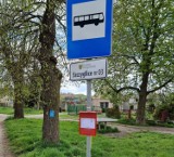 Uwaga! Od czwartku, 28 kwietnia, rusza nowa linia autobusowa z Głogowa do Szczyglic. ROZKŁAD JAZDY