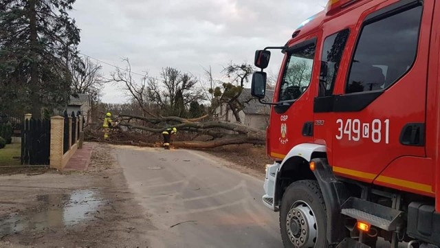 Ponad 100 interwencji podejmowali w nocy strażacy na terenie Torunia i powiatu toruńskiego.