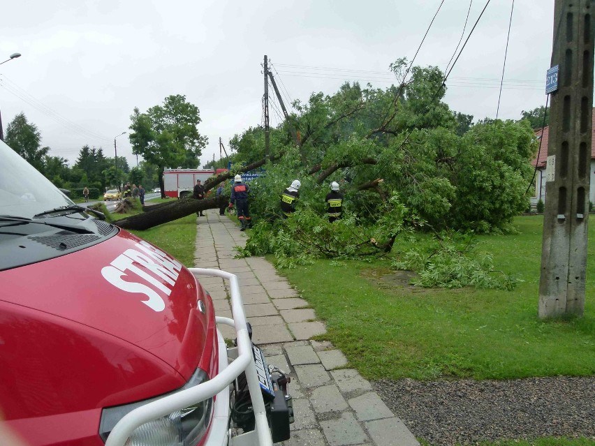 Piotrków, powiat: Wichura zerwała dachy, powaliła drzewa...